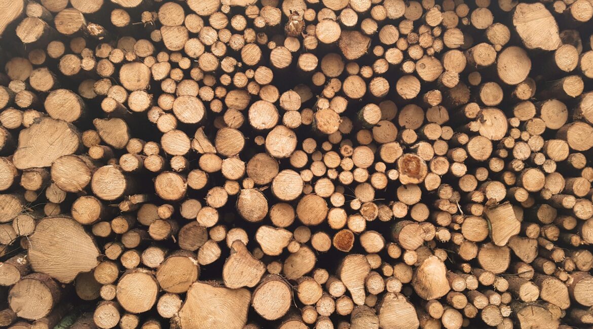 Drewno surowiec, świerk skandynawski
